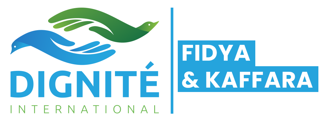 DIGNITE International