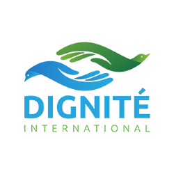 page d'accueil de DIGNITE International